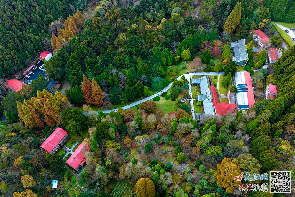 一代代植物學人扎根廬山 讓瀕危植物生生不息